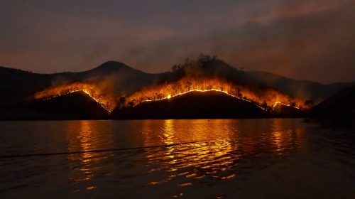 EU sends four fire-fighting planes to tame Sardinia fires