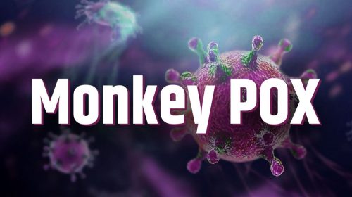 Insights & Introduction to monkeypox virus
