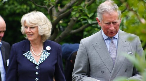 Prince Charles tests positive for covid-19.Britain shocked !